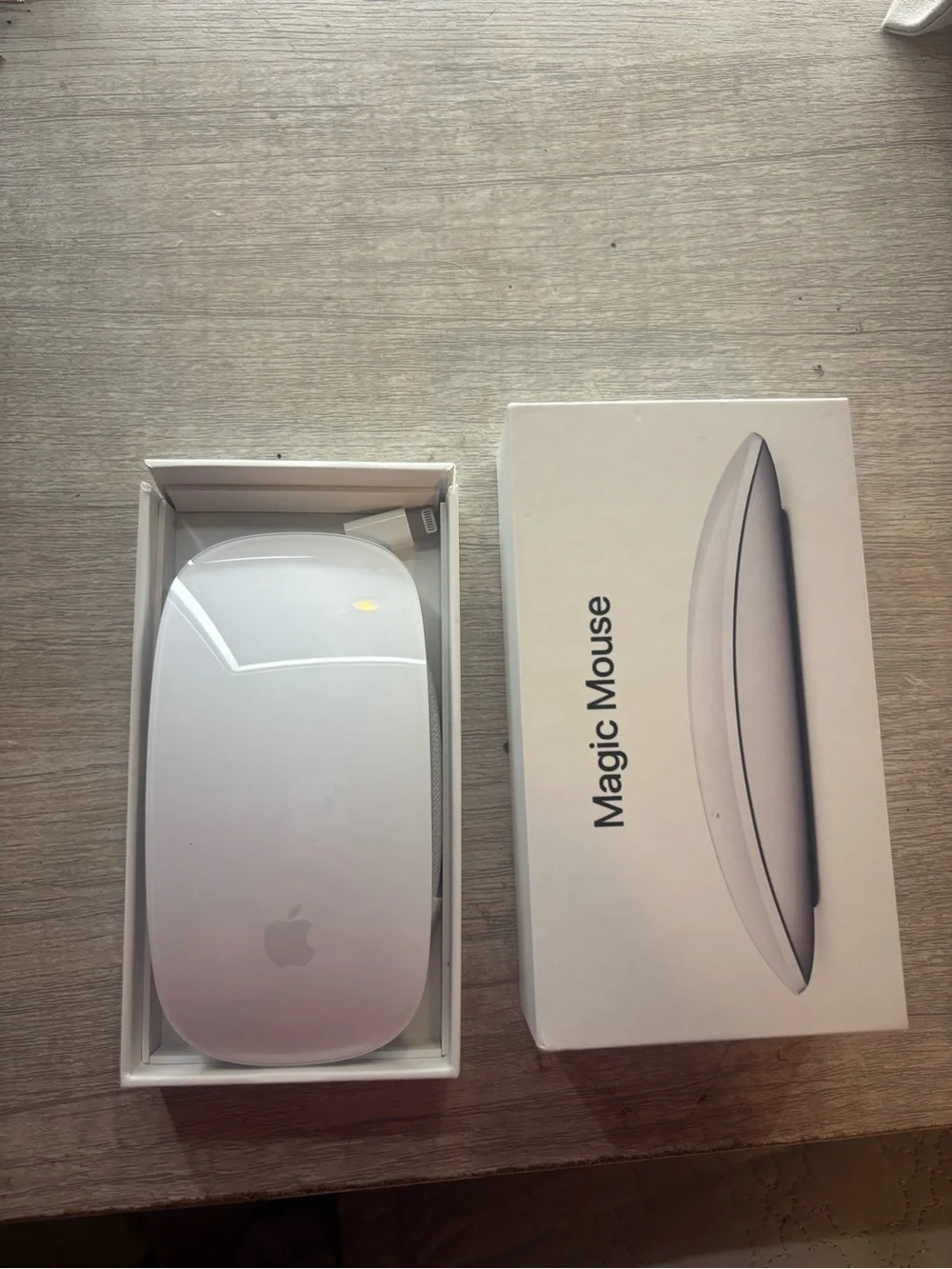 Apple magic mouse